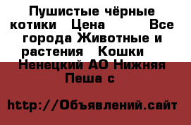 Пушистые чёрные котики › Цена ­ 100 - Все города Животные и растения » Кошки   . Ненецкий АО,Нижняя Пеша с.